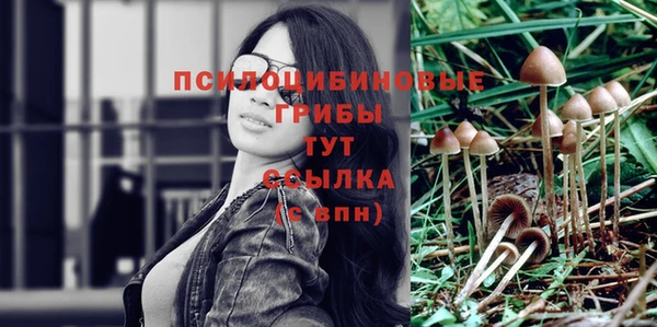 хмурый Балабаново