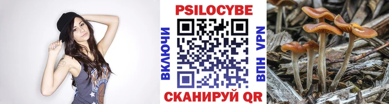 Псилоцибиновые грибы GOLDEN TEACHER  Петропавловск-Камчатский 